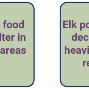 Tiles showing events in a chain reaction