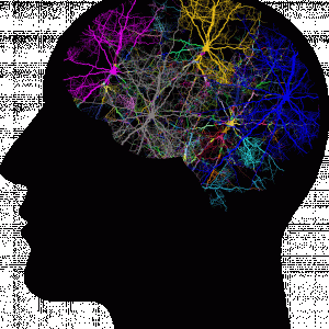 Cover image for Key Learning Principles at Imaginary College