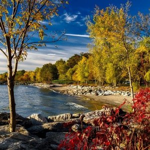 Photo of Lake Ontario from the coastline during the Fall.