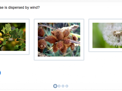 Seed dispersal quiz image