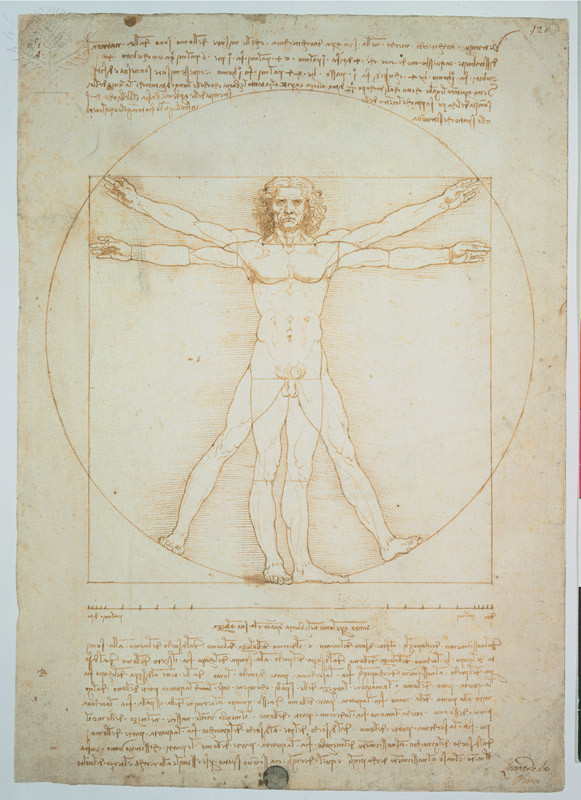 Image of Vitruvian Man